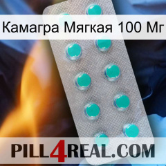 Камагра Мягкая 100 Мг 28